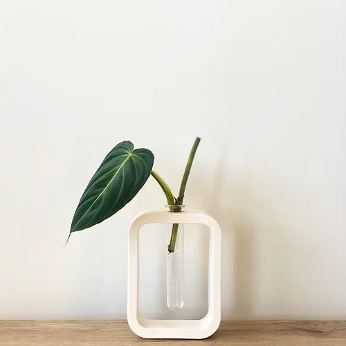 Propagation Vase | White